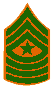 Marine Sergeant E9 Sergeant Major