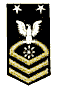 Navy/CoastGuard Master Chief Petty Officer E9