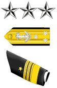 Navy/CoastGuard Officer Vice Admiral