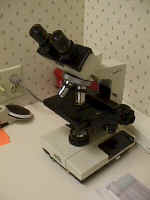 Microscope.jpg (57616 bytes)
